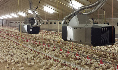 لوله کشی گاز در بهشهر