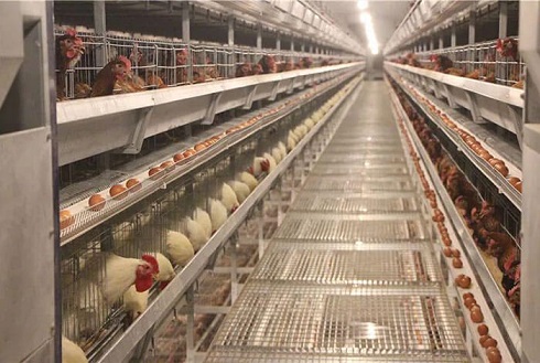 لوله کشی گاز در بهشهر